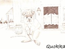 Quokkas