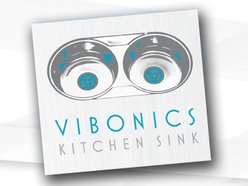 Image for Vibonics