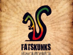Image for Fatskunks