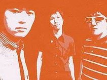 The Treeberrys