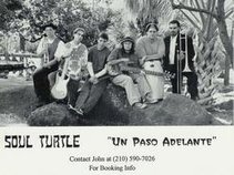 Soul Turtle