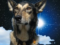 Anubis and the Coyotes