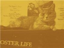 Image for Poster Life