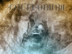 Image for CALEVODIUM
