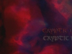 Image for Cryptic Void