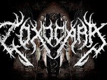 TOXOCARA