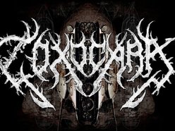 Image for Toxocara
