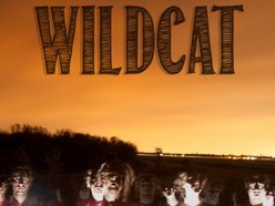 Image for Wildcat