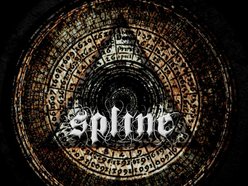 Spline