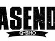 ASEND Q-BHO