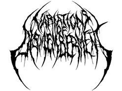Image for Variations Of Dismemberment