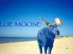 Image for Bluemoose