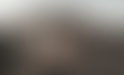 1346210462 buddytxt2