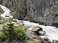 Image for Mountain Hymns