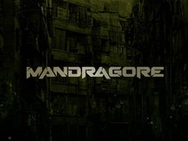 MANDRAGORE