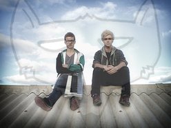Image for The Silver Fox Project