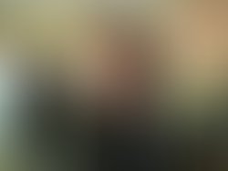 Hand grenades  004 1299339957