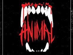 Image for Animal
