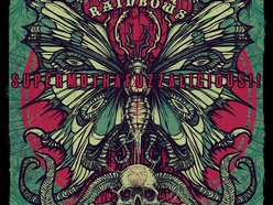 Image for BLACK RAINBOWS