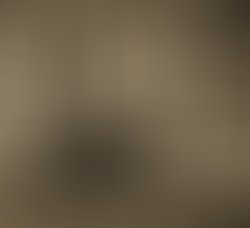 1384020615 sarah with shotgun