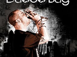 Image for dUECE bUG