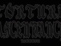 Torture Ascendancy 1307