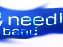 Mikey Needleman Band