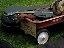 Image for Skinny Raccoons