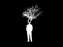 Strange Forest