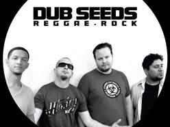 Image for DUB SEEDS