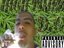 DG FROM OPEN $HOP RECORD$