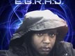E.B.R.A.D.