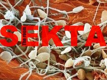 SEKTA