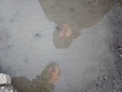 Image for Lost&Found