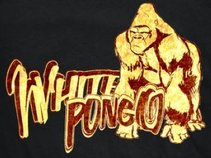 White Pongo