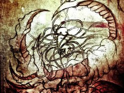 Image for Within The Silence