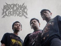 Abdominal The Cadaver