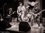 Brad Yaeger and The Night Terrors (Artist)