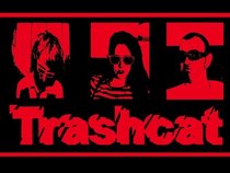 Trashcat