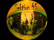 Sektion 45