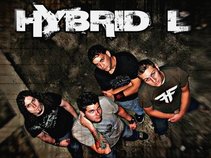 Hybrid L