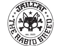 Jailcat