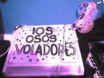 los osos voladores