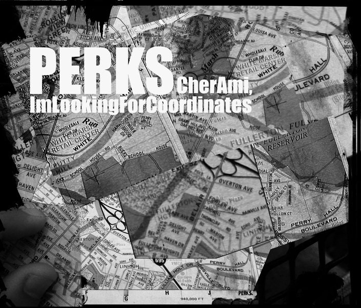 ReverbNation profile picture for @perks