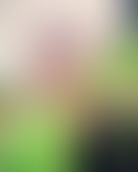 Picsart 06 05 09 23 39