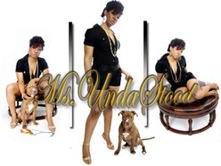 Image for Ms.UndaStood