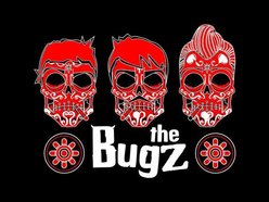 Image for The Bugz