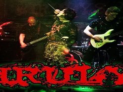 Image for Virulys