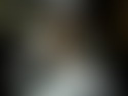 1302462213 photo 148