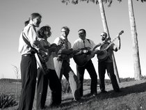 Spare Rib & The Bluegrass Sauce
